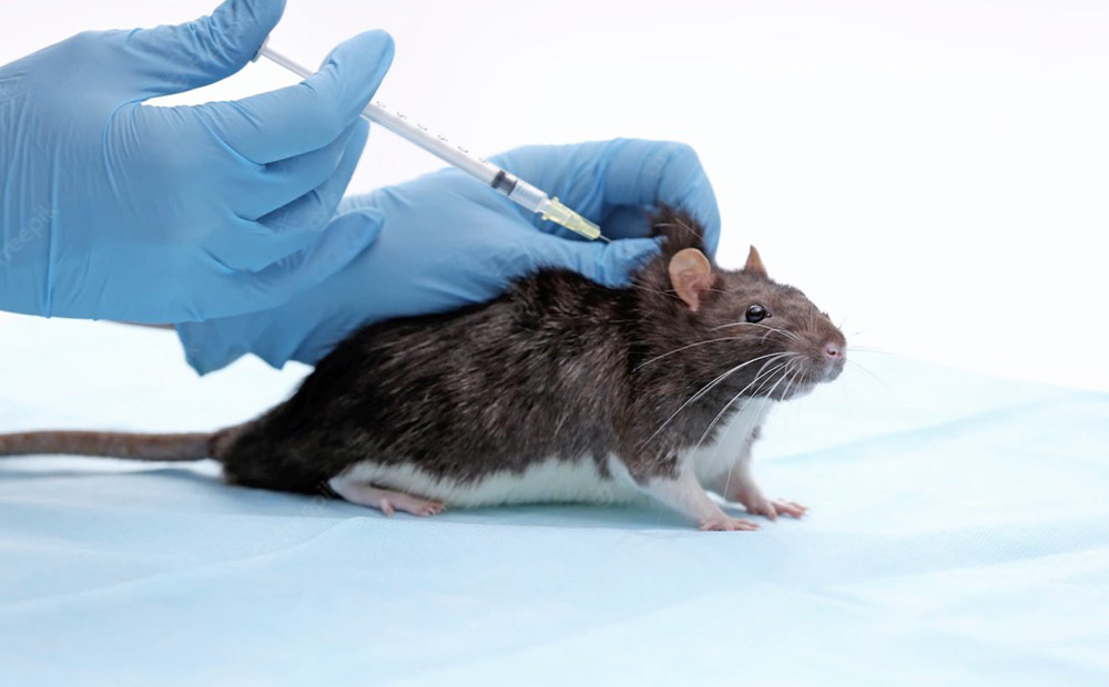 段落四.Tab1動(dòng)物整體水平